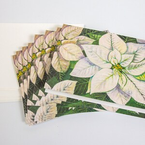 White Poinsettia Botanical Illustration Greeting Cards Set of 8 image 3