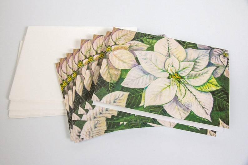 White Poinsettia Botanical Illustration Greeting Cards Set of 8 image 3