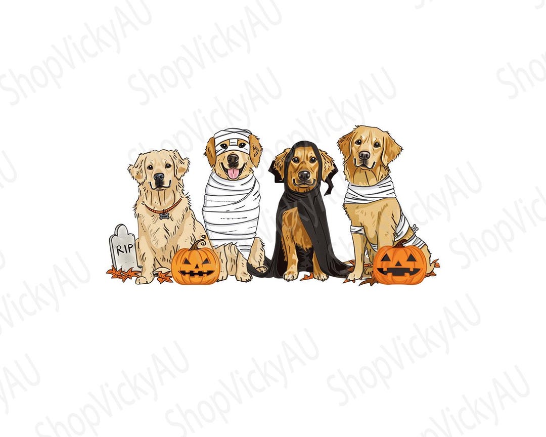 Golden Retriever Ghost Dog Halloween Golden Retriever Witch Png, Funny ...