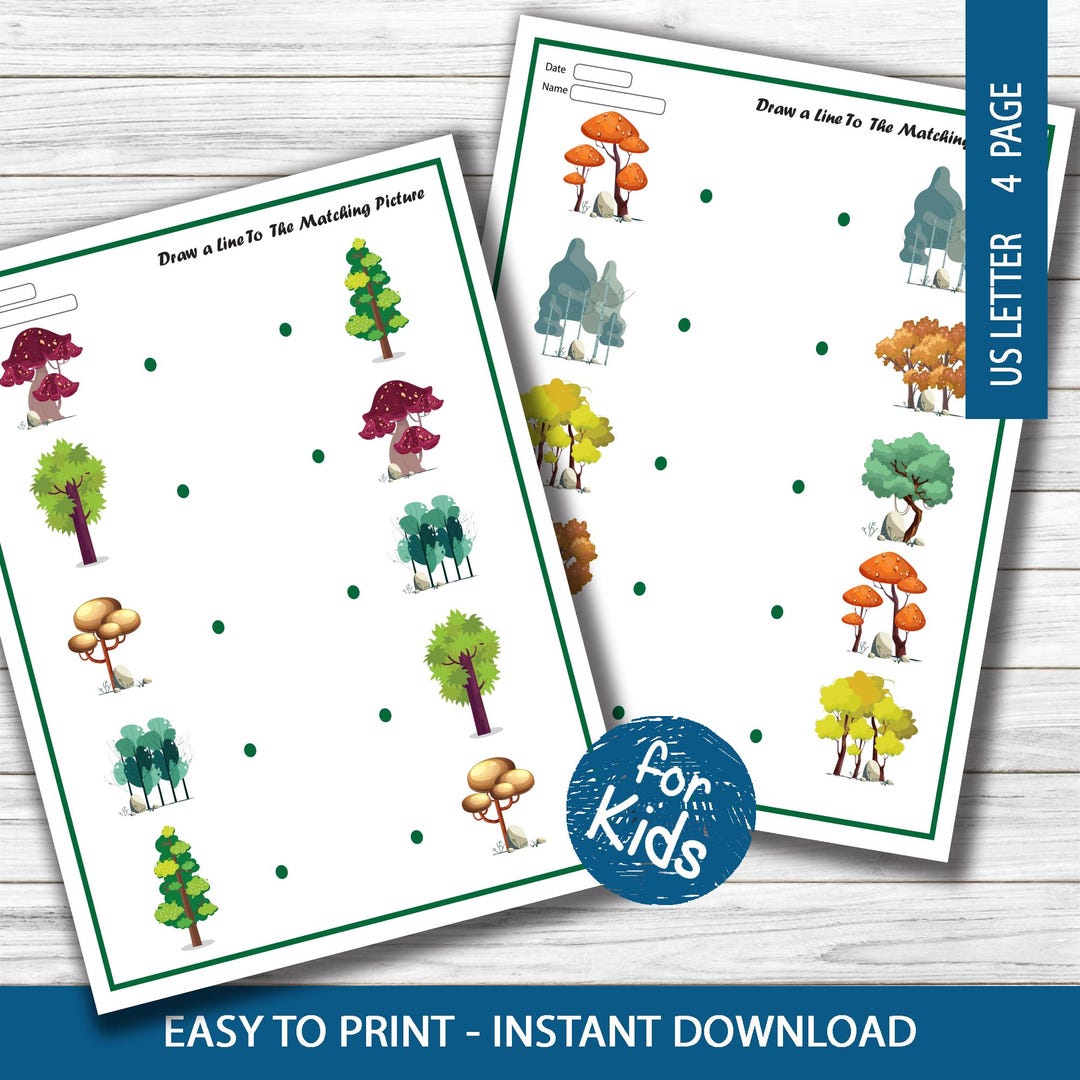 Tree Matching Worksheet Tree Matching Worksheet, Feuilles D’arbres à Associer, Baumzuordnung ...