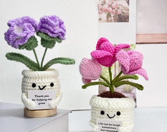Adorable Crochet Carnation & Tulip,Emotional Support Plant,Cute Desk Decor,Thank You Mom,Teacher Appreciation Gift,Mother's Day Gift for