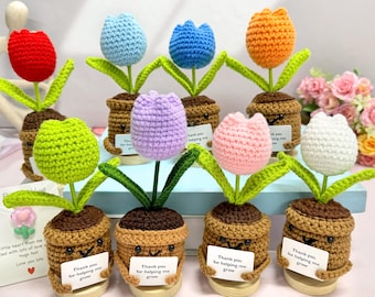 Crochet Tulip Flower in Pot,Personalized Gift for Mom, Friends,Birthday Gift,Mother's Day Gift,Home Desk Decoration, Crochet Tulip Plants