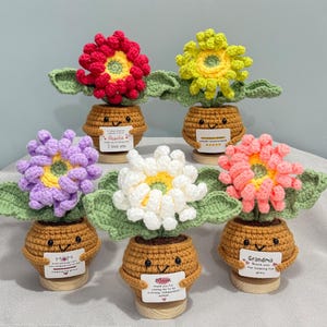 Adorabile gerbera all'uncinetto fatta a mano, vaso di fiori lavorato a maglia con frase per la festa della mamma, supporto emotivo, regalo di ringraziamento per mamma, nonna, zia