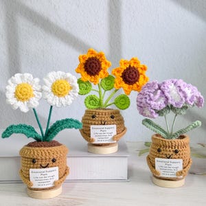 May include: Three crocheted potted plants with smiling faces and signs that read "Emotional Support Plant" and "Life can be tough sometimes, but remember so are you!" The plants are a daisy, a sunflower, and a purple flower.