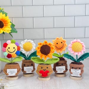 Handmade Emotional Support Plant Gift,Crochet Smiling Sunflower/Daisy,Cheer up Gift,Thank you gift for Mom/Teachers/Friends/Team,Desk Decor