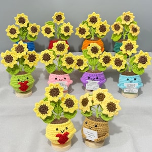 Könnte beinhalten: Eine Sammlung handgefertigter gehäkelter Sonnenblumen in bunten Töpfen. Jeder Topf hat ein lächelndes Gesicht und hält einen Strauß gelber Sonnenblumen mit braunen Zentren und grünen Blättern. Einige Töpfe haben kleine Karten.
