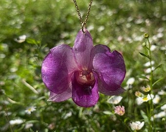 Echte Orchidee Harz Anhänger Halskette: Handgemachter botanischer Schmuck