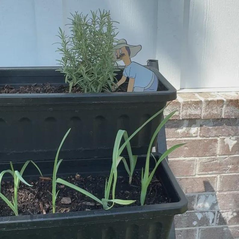 May include: A black plastic tiered planter containing a rosemary plant and several green sprouts. A flat, cartoon-style cutout of a character wearing a light blue shirt and a tan hat is positioned within the top planter next to the rosemary.