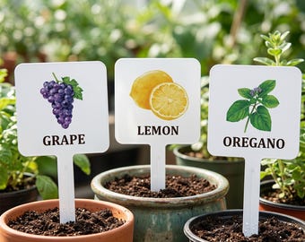 Metallkräuter-Gemüsegarten-Marker, Garten-Metallkunst, Obstmarker, Metallpflanzeneinsätze, Vege-Label-Schilder, bunte Kräutermarker, Geschenk für Mama