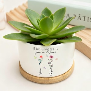 May include: A white ceramic plant pot with a green succulent. The pot features the text "IT TAKES A LONG TIME TO grow an old friend" and floral illustrations. It rests on a round wooden coaster.
