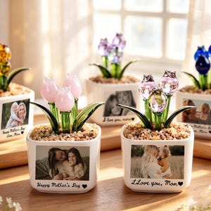 Puede incluir: Una colección de macetas decorativas con flores de tulipanes de cristal en varios colores. Cada maceta cuadrada blanca presenta una foto impresa y un mensaje, como "Happy Mother's Day". Las macetas están llenas de pequeñas piedras.