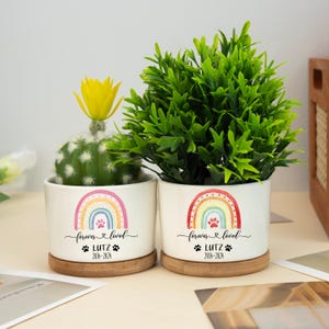 May include: Two white ceramic planters with a rainbow design, paw print, and the text "forever & loved" and "LUTZ 2014-2024". One planter holds a cactus with a yellow flower, the other holds a green plant. Both sit on bamboo saucers.