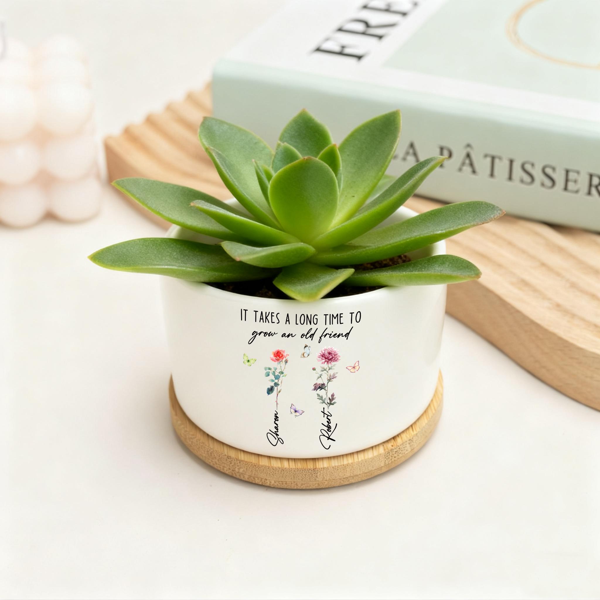 Freundschaft pflanze - Etsy.de