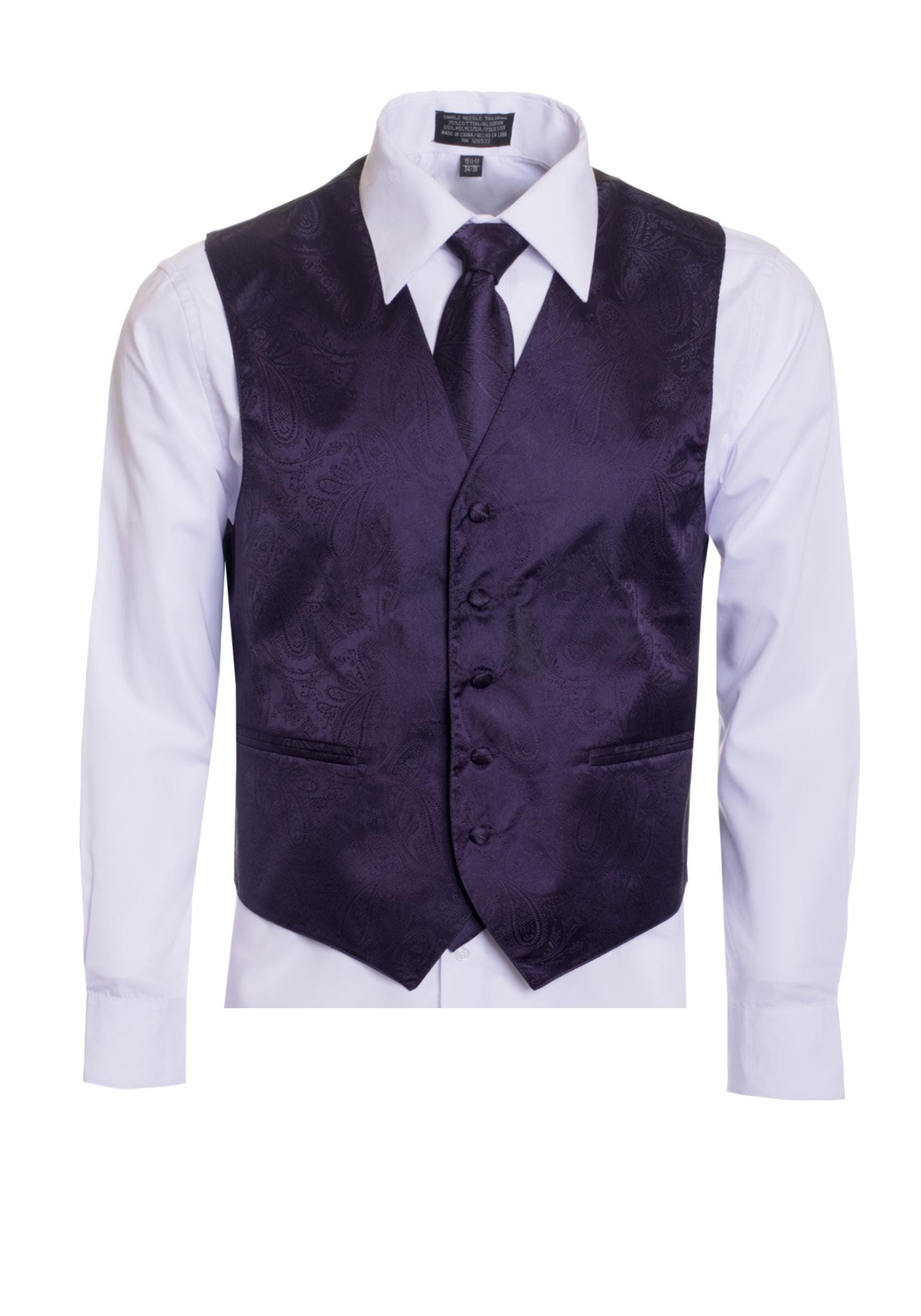 Men's Premium Grape-dark Purple-eggplant Paisley Vest Necktie