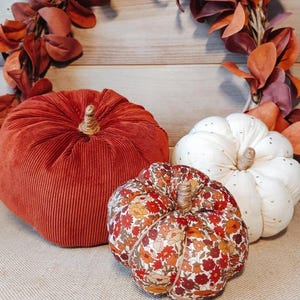Peut inclure: Trois citrouilles décoratives en tissu comprenant une grande citrouille en velours côtelé rouille, une plus petite citrouille blanche à pois dorés et une citrouille moyenne à motif floral dans les tons rouge, orange et jaune, avec une tige en jute.