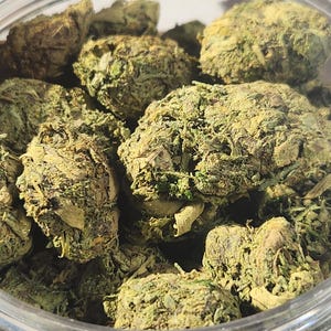 May include: A collection of dried, textured green plant buds packed inside a clear, circular plastic container. The buds exhibit varying shades of olive and light green with visible fibrous structures and small, curled leaves throughout the cluster.