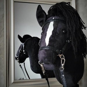 May include: Black horse head with a white stripe on its face, wearing a black leather bridle and reins. The horse head is reflected in a mirror.