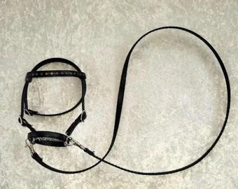 Black BRIDLE with sequins