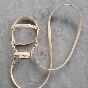 May include: A beige leather dog harness with a matching leash. The harness has a chain around the neck and a buckle on the chest.