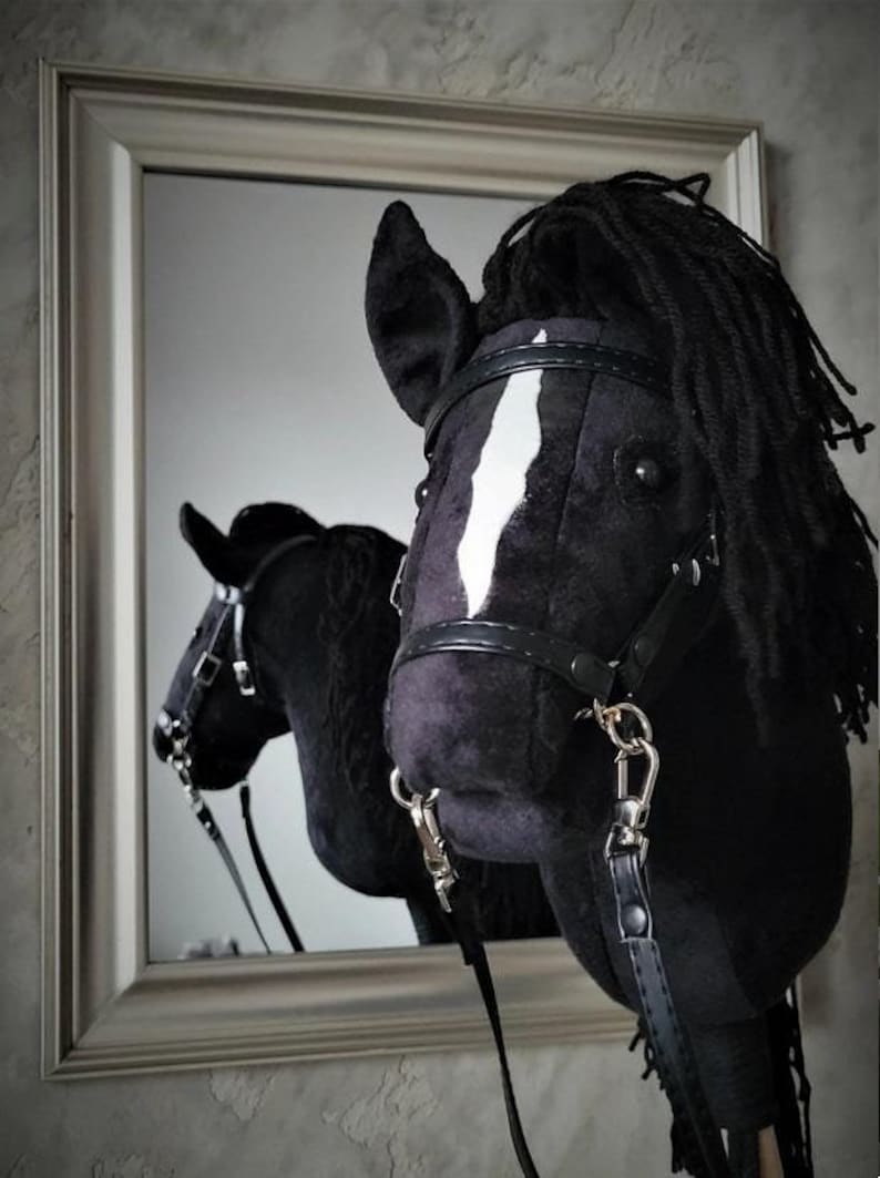 May include: Black horse head with a white stripe on its face, wearing a black leather bridle and reins. The horse head is reflected in a mirror.