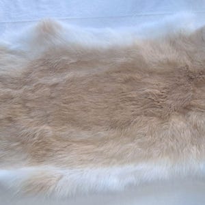 Fawn color Soft Rabbit Fur Hide – Approx. 18&quot;x11&quot; – Tanned Fur for Crafts, Costumes, Décor, & DIY