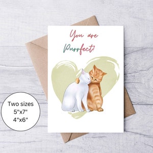 Vous êtes des chats parfaits câlins carte d'anniversaire amour affection carte d'anniversaire mariage/rendez-vous anniversaire pour mari femme petit ami elle lui