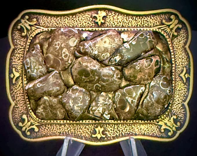 Turritella Fossil Belt Buckle for Men or Women -- Rustic Gemstone Buckle--Original One of a Kind