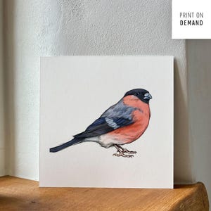 Wandbild Gimpel, Dompfaff, quadratisch, Illustration Galerietafel, Print on Demand Gallery Board 20 x 20 cm, Aquarell-Kunstkarton