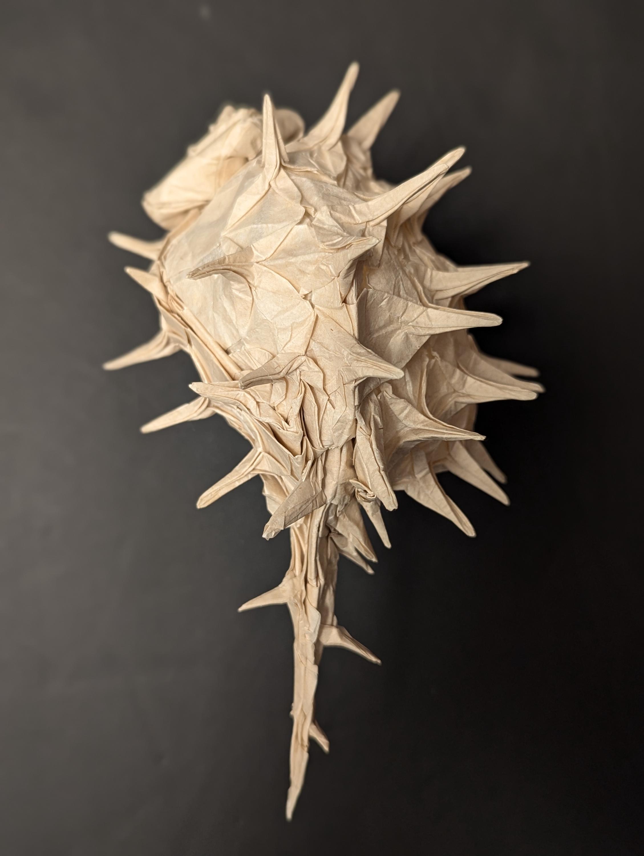 Origami Muscle Shell Murex Sea Shell With 30+ Spines, Handmade Original Origami, Shell #017 ...