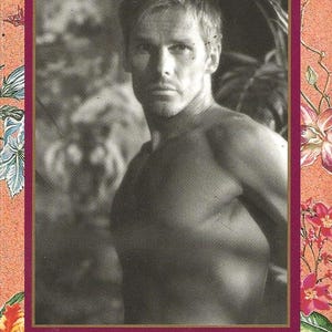 Cynthia Powell UNTAMED 785 Loveswept