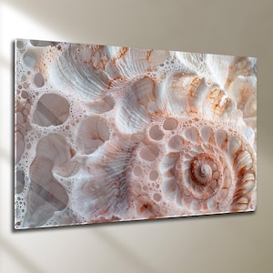 Puede incluir: Primer plano de una impresión de concha marina. La imagen presenta un patrón en espiral con tonos blancos, beige y marrón. La textura de la concha es detallada, con una mezcla de superficies lisas y burbujeantes. La obra de arte está montada sobre una superficie transparente.