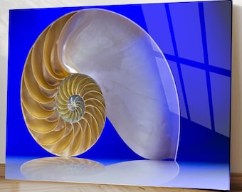 Tempered Glass Wall Art Golden Abstract Nautilus Underwater Ocean Sacred Geometry Decor