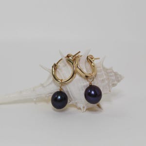 Tahitian Pearl Hoop Earrings