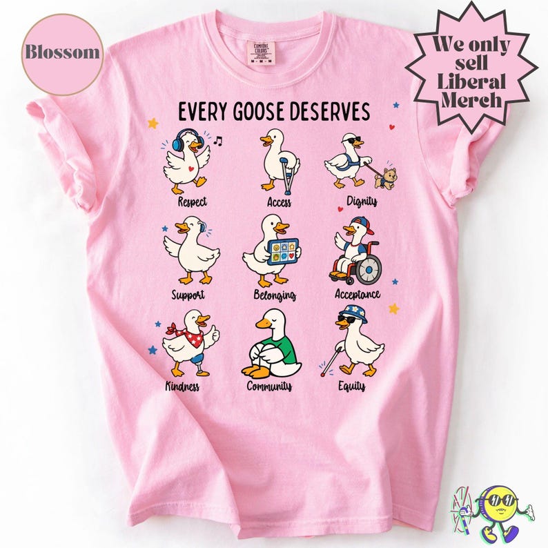 Camiseta Silly Goose con mensaje sutil sobre neurodiversidad, concienciación descarada sobre el autismo, derechos de las personas con discapacidad, camiseta de apoyo e inclusión para familias y aliados del autismo. imagen 12