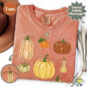May include: A terracotta-colored t-shirt featuring a graphic print of various pumpkins in shades of orange, yellow, and cream. The shirt has a crew neckline and a Comfort Colors label. A silver chain necklace rests on the fabric near the collar.