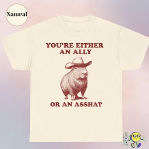 You&#39;re an ally or an asshat LGBTQ Ally Shirt, Pride Ally Vintage shirt, Queer Rights, Pride Month, Trans Liberal Equality Social Justice Tee
