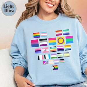 LGBTQ Ally Shirt, Queer Pride Ally Tee Gay Bisexual Lesbian Asexual Trans Non Binary Rights, Pride Month Equality Social Justice Activist