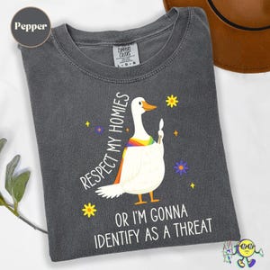 Silly Goose Ally Pride shirt, LGBTQ Ally Shirt, Queer Rights Ally, Pride Month, Trans Kids Gay Rights shirt, Liberal Equality Social Justice