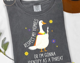 Chemise Silly Goose Ally Pride, chemise LGBTQ allié, allié des droits des homosexuels, mois de la fierté, chemise des droits des homosexuels pour enfants trans, égalité libérale justice sociale