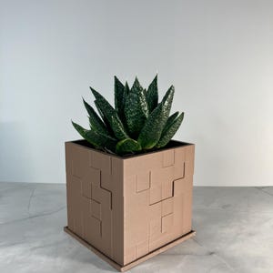 以下が含まれることがあります： 幾何学模様の茶色の正方形のプランターに、緑色の多肉植物が入っています。