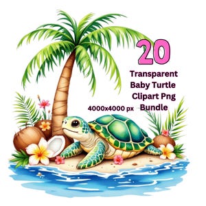 20 Baby turtle PNG, sea turtle png, turtle sublimation designs, clipart bundle, commercial use, instant download, digital download set