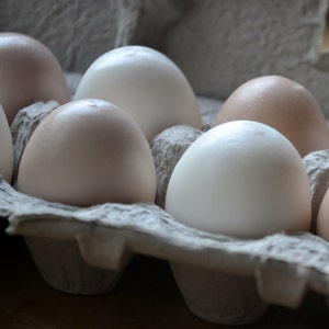 Farm Fresh Egg Soap Brown and White Eggs Half Dozen in Carton Gift Set image 1