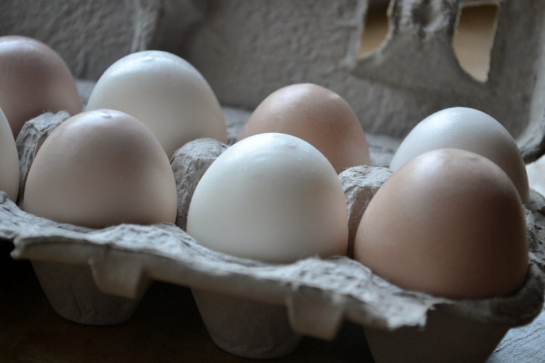 Farm Fresh Egg Soap Brown and White Eggs Half Dozen in Carton Gift Set image 1