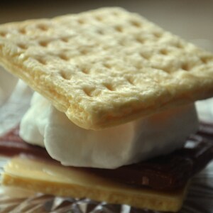 Toasty S'More Soap Smores Graham Cracker Camping Novelty Soap Marshmallow Soap Chocolate Dessert Fun Soap Kids Soap image 2