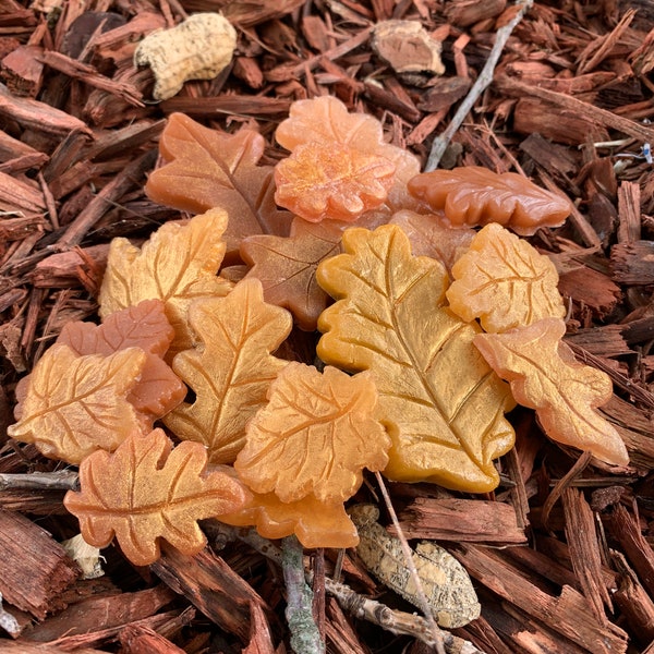 Autumn Leaf Soap - Fall - Mothers Day - Grandma - Party Favor - Fall Leaves - Leaf Soap