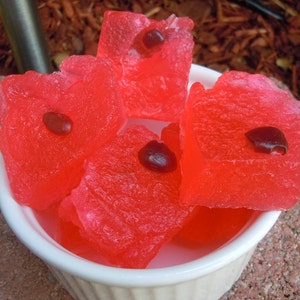 Summer Watermelon Soap - Fruit Soap - Summer - Novelty Soap - Fake Food - Food Soap - Mothers Day - Gift for Her - Vegan Soap