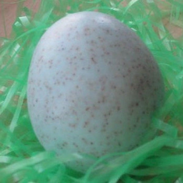 Egg Soap - Oatmeal Scrub Robins Egg Vegan Soap Party Favor Set of 10 - Party Favors - Baby Shower - Spring - Easter - Baby - Mothers Day
