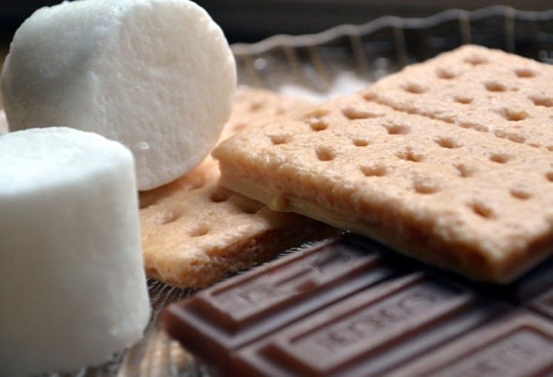 Campfire S'more Soap Set Smores Dessert Fake Food Food Props Camping Summer Chocolate image 2