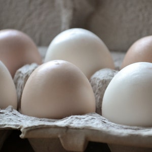 Farm Fresh Egg Soap Brown and White Eggs Half Dozen in Carton Gift Set image 2