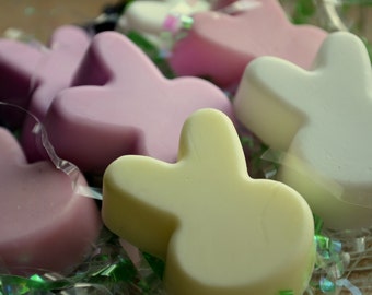 Spring Soap for Kids - Bunny Guest Soap - Bunny Soap - Easter Soap - Spring - Baby Shower Favor - Fun Soap - Novelty Soap
